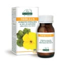 TRIBULUS ESTRATTO TITOLATO 80 PASTIGLIE