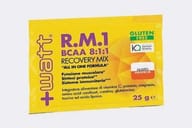 RECOVERY MIX BCAA 25 G
