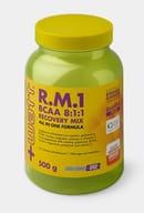 RM1 BCAA 811 RECOVERY MIX ALL IN ONE FORMULA 500 G GUSTO ARANCIA