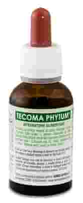 TECOMA PHYTUM GTT 30 ML