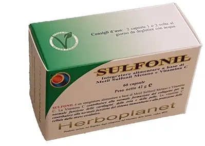 SULFONIL 60 CAPSULE SULFONIL 60 CAPSULE