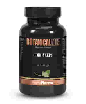 CORDYCEPS BOTANICAL MIX 60 CAPSULE
