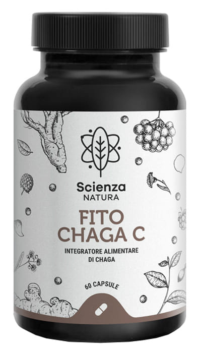 FITO CHAGA C 60 CAPSULE