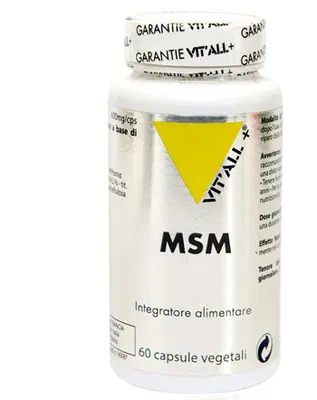 MSM 60 CAPSULE MSM 60 CAPSULE
