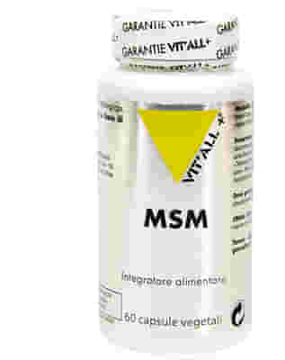 MSM 60 CAPSULE