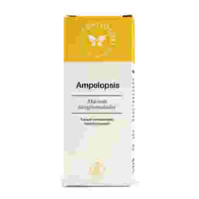 AMPELOPSIS MG 50 ML