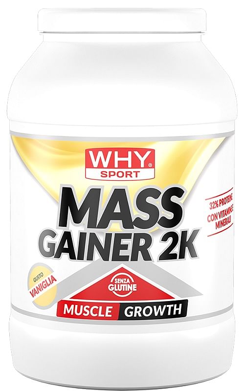 Whysport Mass Gainer Vaniglia 2000 G