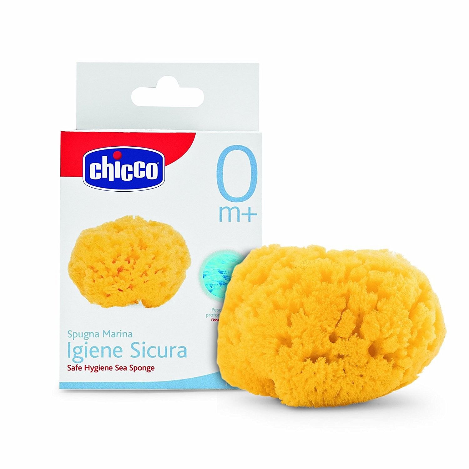 Chicco Spugna Marina Naturale