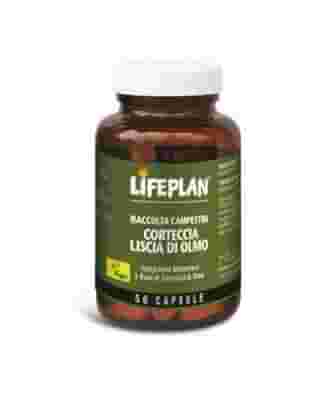 CORTECCIA LISCIA DI OLMO 50 CAPSULE