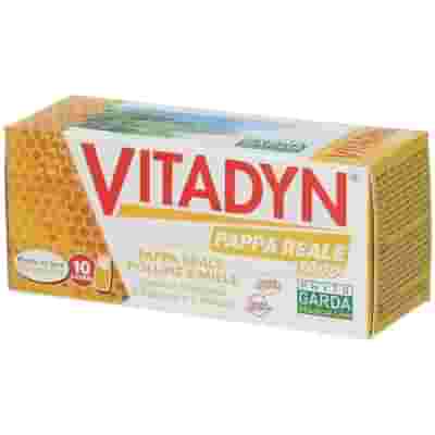 VITADYN PAPPA REALE 1000 10 FLACONCINI 10 ML