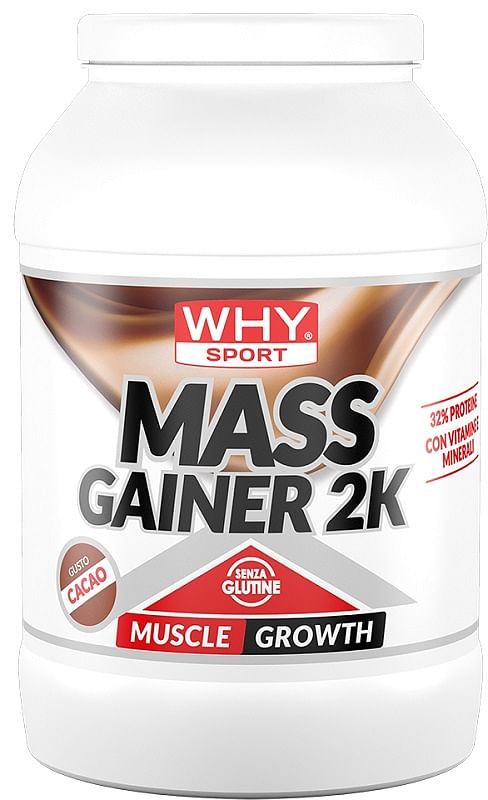 Whysport Mass Gainer 2 K Cacao 2 Kg