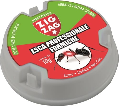 ZIG ZAG ESCA ANTIFORMICHE 10 G