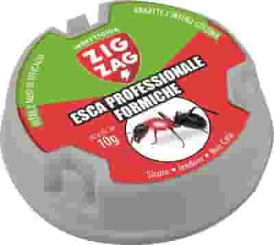 ZIG ZAG ESCA ANTIFORMICHE 10 G