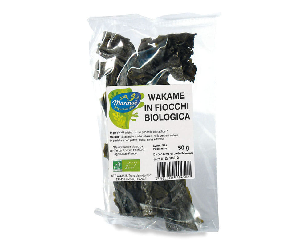 MARINOE WAKAME IN FIOCCHI