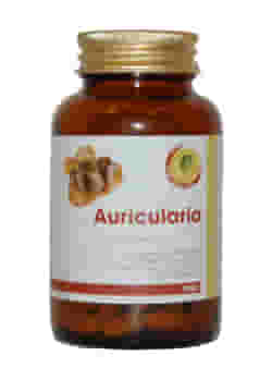 AURICULARIA LINEA PLUS 90 COMPRESSE 81 G