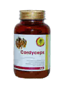 CORDYCEPS LINEA PLUS 90 COMPRESSE 81 G