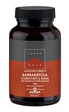 TERRANOVA BARBABIETOLA CORDYCEPS & REISHI PREWORKOUT 70 G