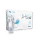 VITGASE AEROSOL 15 FLACONCINI MONODOSE DA 5 ML