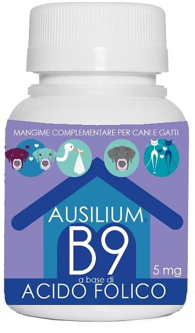 Ausilium B9 Vet Acido Folico 9 G