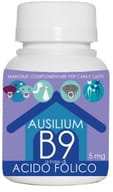 AUSILIUM B9 VET ACIDO FOLICO 9 G