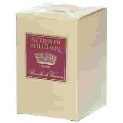 ACQUA DI BOLGHERI PROFUMO BACCHE DI VINUM 100 ML
