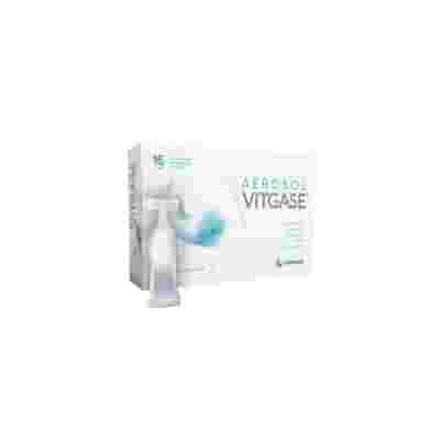 VITGASE AEROSOL 15 FLACONCINI 5 ML