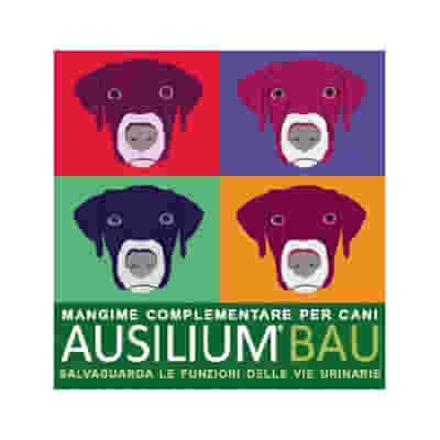 AUSILIUM BAU 300 G CON MISURINO