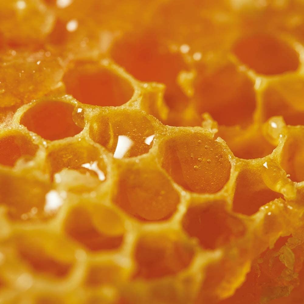 NUXE REVE DE MIEL BALSAMO LABBRA RIPARATORE AL MIELE 15 G