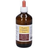 ARGENTO COLLOIDALE IONICO 40PPM CERTIFICATO 250 ML