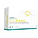 PEANERV BUSTINE 14 BUSTINE