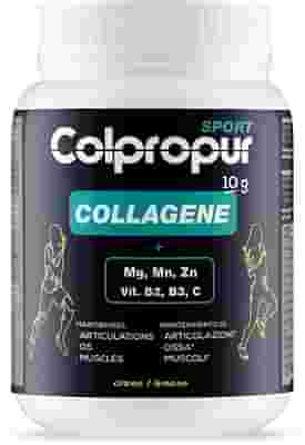COLPROPUR SPORT LIMONE 345 G