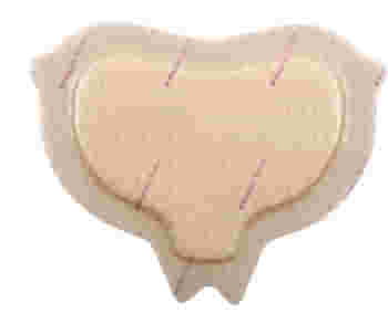 MEDICAZIONE IN SCHIUMA DI POLIURETANO MEPILEX BORDER CONFORMATA PER SACRO BORDO INTEGRATO TECNOLOGIA SAFETAC 16X20 CM 5 PEZZI