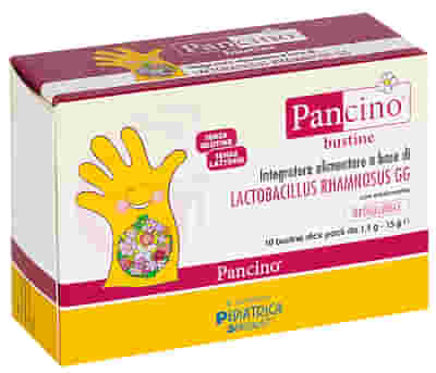 PANCINO 10 BUSTINE