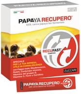 PAPAYA RECUPERO 14 STICK