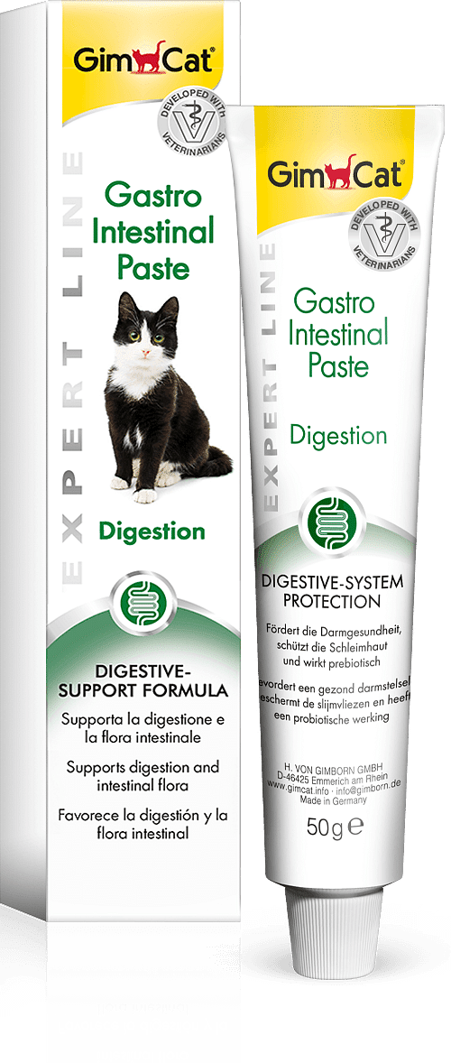 Gastrointestinal Paste 50 G