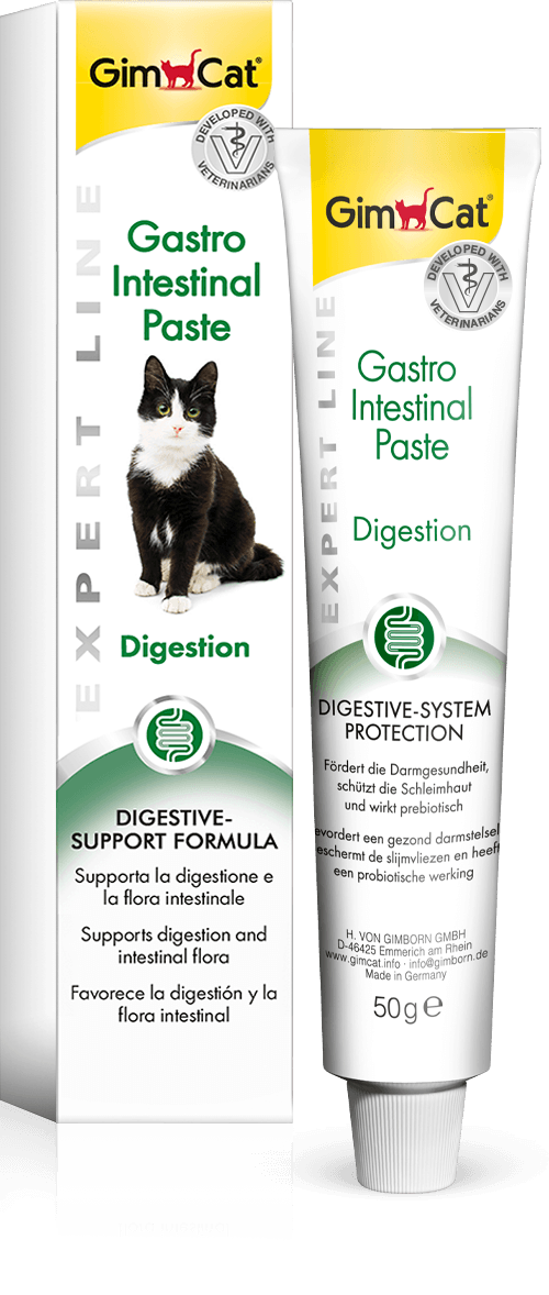 Gastrointestinal Paste 50 G