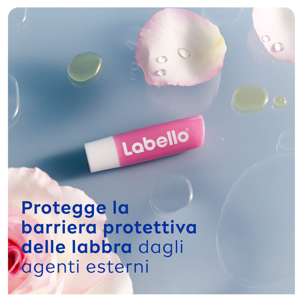 LABELLO SOFT ROSE 5,5 ML