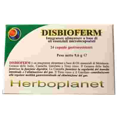 DISBIOFERM 24 CAPSULE