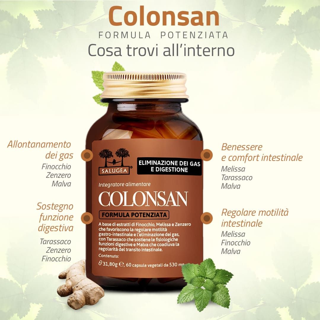 SALUGEA COLONSAN FORMULA POTENZIATA 60 CAPSULE