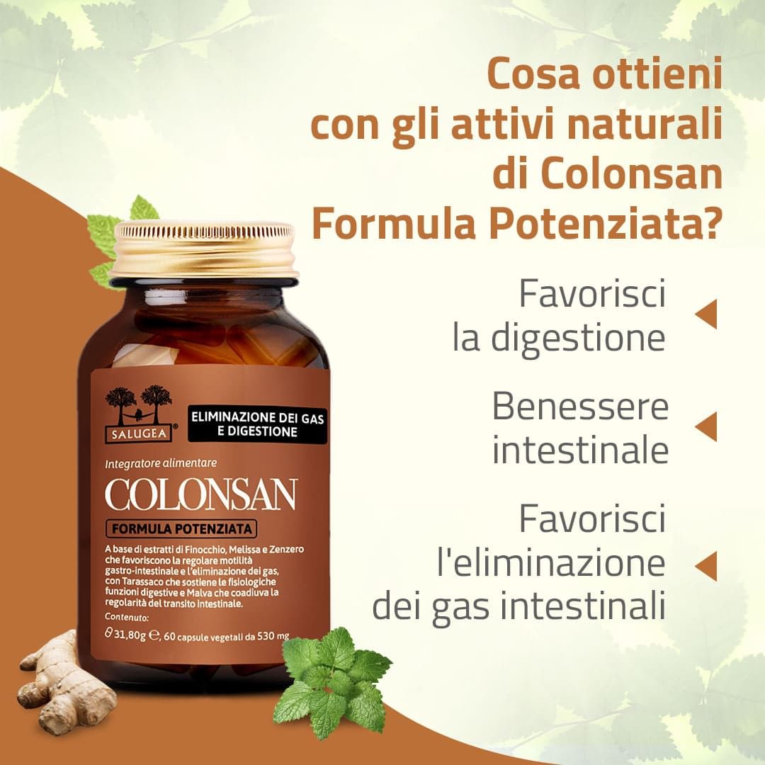 SALUGEA COLONSAN FORMULA POTENZIATA 60 CAPSULE