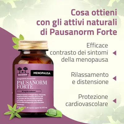 SALUGEA PAUSANORM FORTE 60 CAPSULE VEGETALI SALUGEA PAUSANORM FORTE 60 CAPSULE VEGETALI