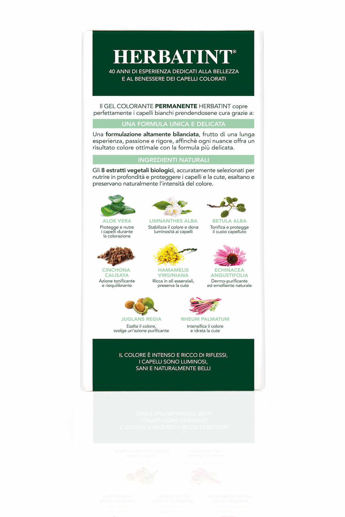 HERBATINT 3DOSI 5N 300 ML