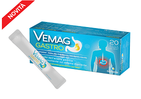 Vemag Gastro 20 Stick