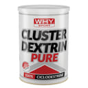 WHYSPORT CLUSTER DEXTRIN PURE 500 G