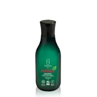 SHAMPOO ARGAN/ZENZERO 250 ML