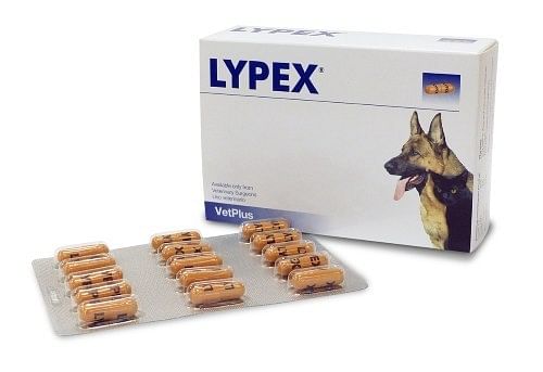 Lypex 60 Capsule