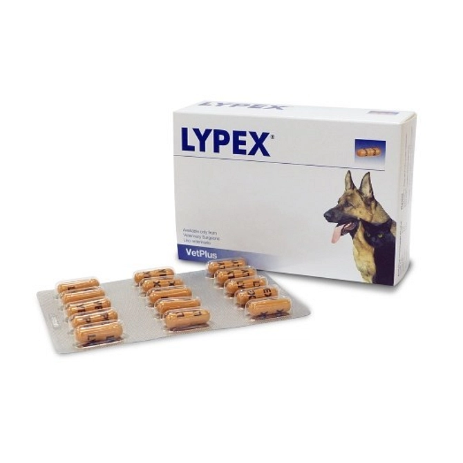 Lypex 60 Capsule