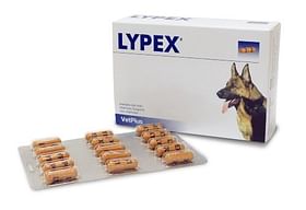 Lypex 60 Capsule