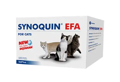 SYNOQUIN EFA CAT 30 CAPSULE SYNOQUIN EFA CAT 30 CAPSULE