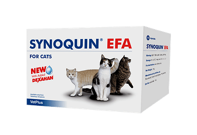 SYNOQUIN EFA CAT 30 CAPSULE